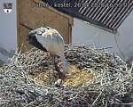 Capi_Dubne_20260526_165502.jpg