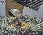 Capi_Dubne_20260526_170003.jpg