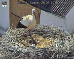 Capi_Dubne_20260526_170502.jpg