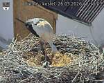 Capi_Dubne_20260526_171003.jpg