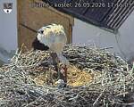 Capi_Dubne_20260526_171503.jpg