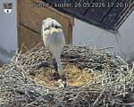 Capi_Dubne_20260526_172002.jpg
