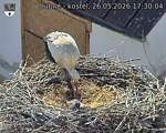 Capi_Dubne_20260526_173004.jpg