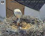 Capi_Dubne_20260526_175502.jpg