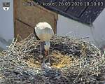 Capi_Dubne_20260526_181003.jpg