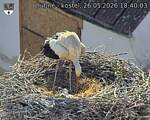 Capi_Dubne_20260526_184003.jpg