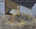Capi_Dubne_20260526_192503.jpg