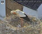 Capi_Dubne_20260526_193502.jpg