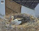 Capi_Dubne_20260526_194003.jpg