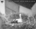 Capi_Dubne_20260526_212002.jpg