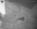 Capi_Dubne_20260527_003002.jpg
