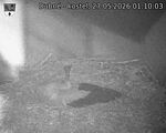 Capi_Dubne_20260527_011003.jpg