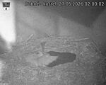 Capi_Dubne_20260527_020002.jpg