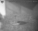 Capi_Dubne_20260527_024003.jpg