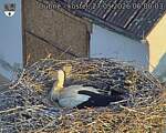 Capi_Dubne_20260527_060003.jpg