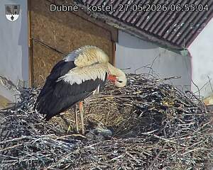 preload