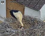 Capi_Dubne_20260527_071504.jpg