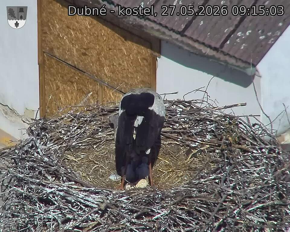 preload