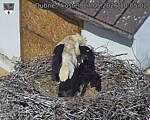 Capi_Dubne_20260527_100502.jpg