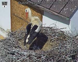 preload