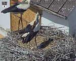 Capi_Dubne_20260527_121502.jpg