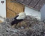 Capi_Dubne_20260527_131002.jpg
