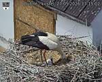 Capi_Dubne_20260527_131502.jpg
