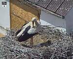 Capi_Dubne_20260527_132502.jpg