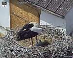 Capi_Dubne_20260527_133503.jpg