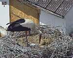 Capi_Dubne_20260527_140504.jpg