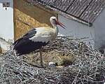 Capi_Dubne_20260527_141002.jpg