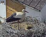 Capi_Dubne_20260527_143003.jpg