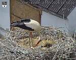 Capi_Dubne_20260527_145003.jpg