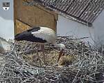 Capi_Dubne_20260527_145502.jpg