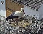 Capi_Dubne_20260527_150503.jpg