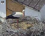 Capi_Dubne_20260527_151003.jpg
