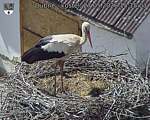 Capi_Dubne_20260527_151503.jpg