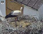 Capi_Dubne_20260527_152002.jpg