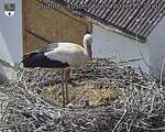Capi_Dubne_20260527_153002.jpg