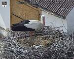 Capi_Dubne_20260527_153502.jpg
