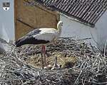 Capi_Dubne_20260527_154002.jpg