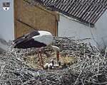Capi_Dubne_20260527_155002.jpg