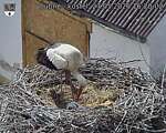 Capi_Dubne_20260527_162002.jpg