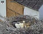 Capi_Dubne_20260527_163003.jpg