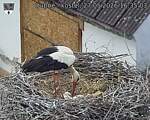 Capi_Dubne_20260527_163503.jpg