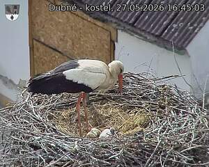 preload