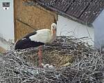 Capi_Dubne_20260527_170002.jpg