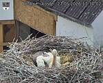 Capi_Dubne_20260527_173002.jpg