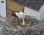 Capi_Dubne_20260527_174003.jpg