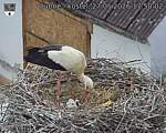 Capi_Dubne_20260527_175002.jpg